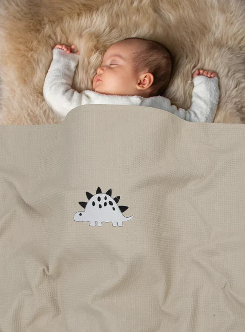 Snuggle Dino Baby Blanket